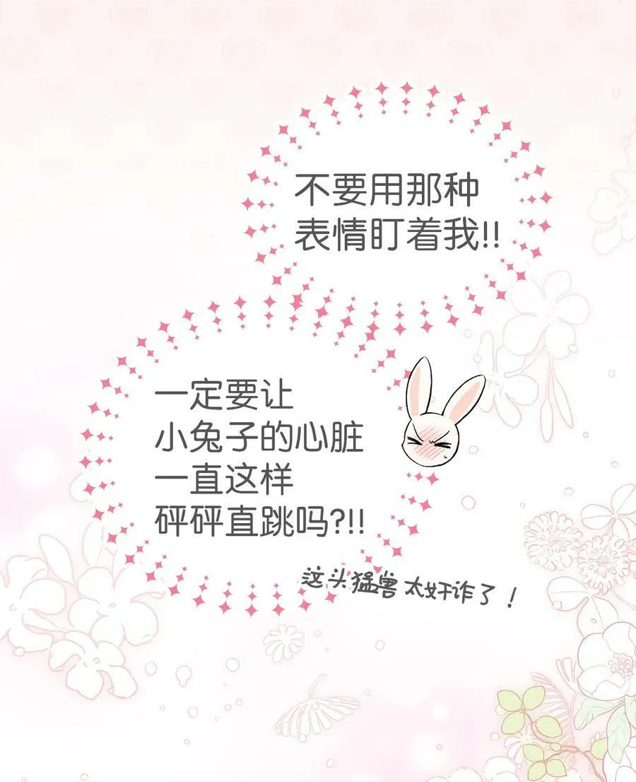 56 猫猫都喜欢箱子 第70页