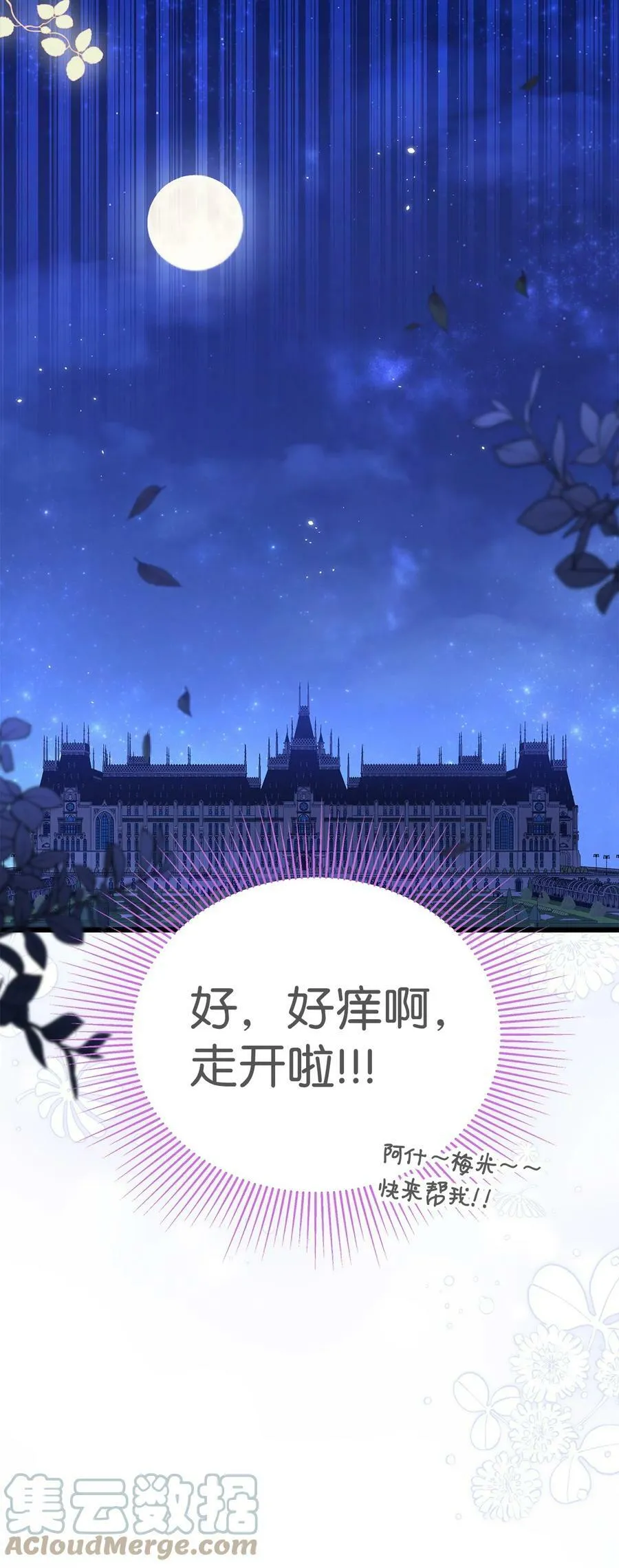 56 猫猫都喜欢箱子 第101页