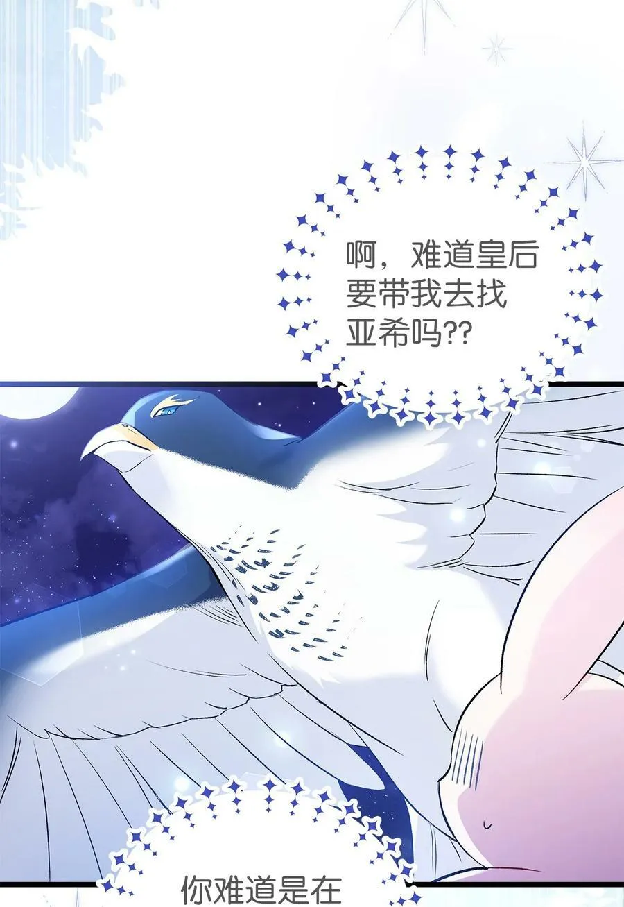 57 药物抗性 第30页