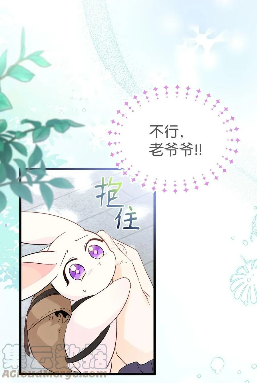 60 黑豹需要兔兔 第70页