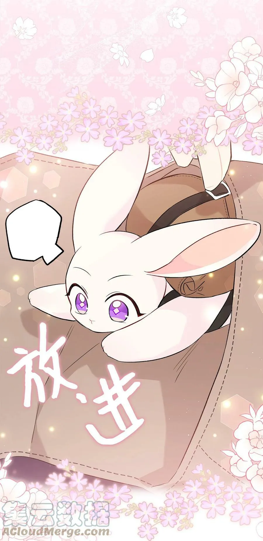 60 黑豹需要兔兔 第76页