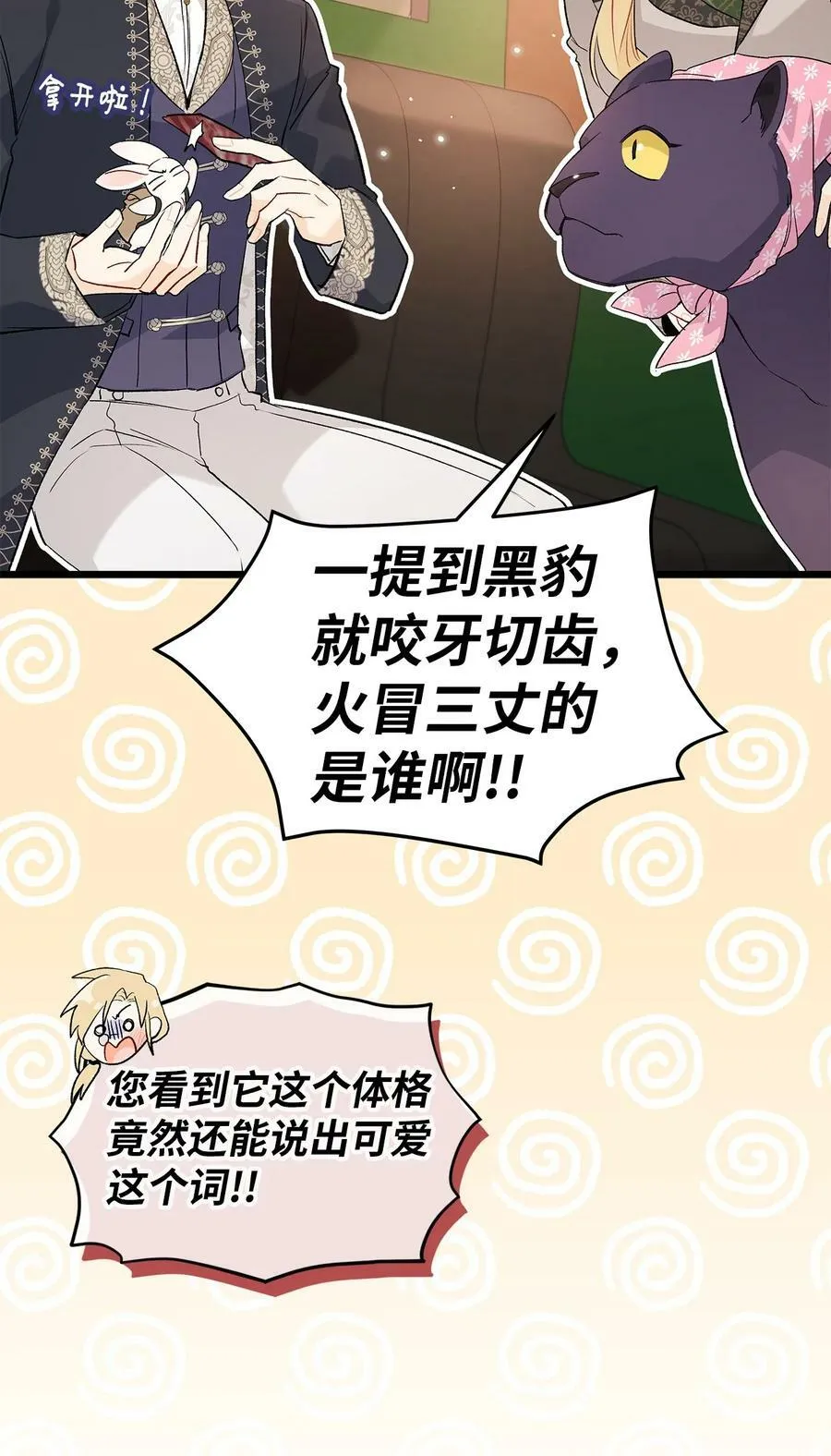 62 狮子的黑豹 第27页