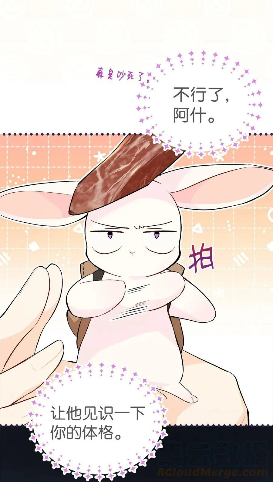 62 狮子的黑豹 第28页
