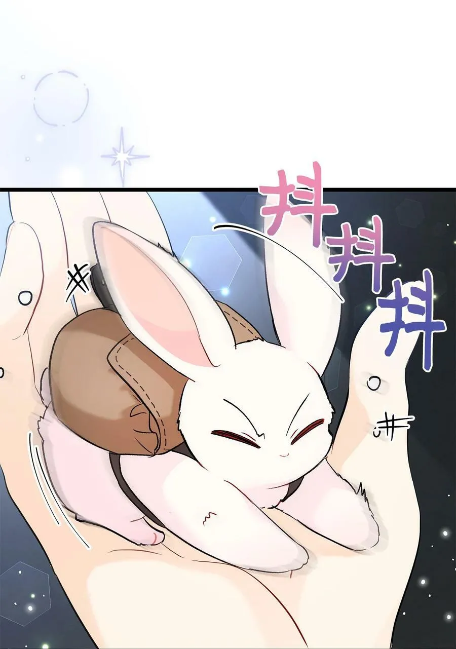 62 狮子的黑豹 第65页