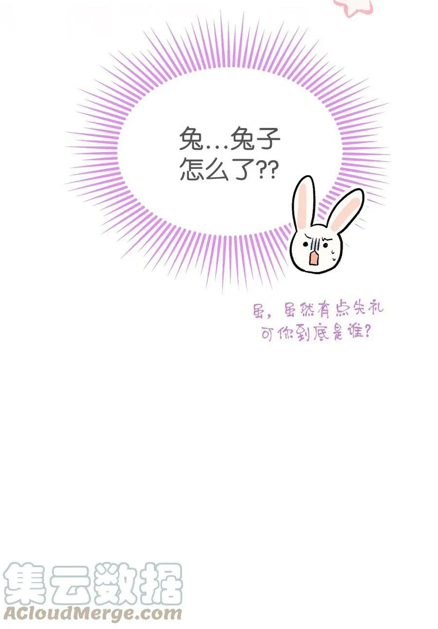 78 黑豹的兔子 第73页