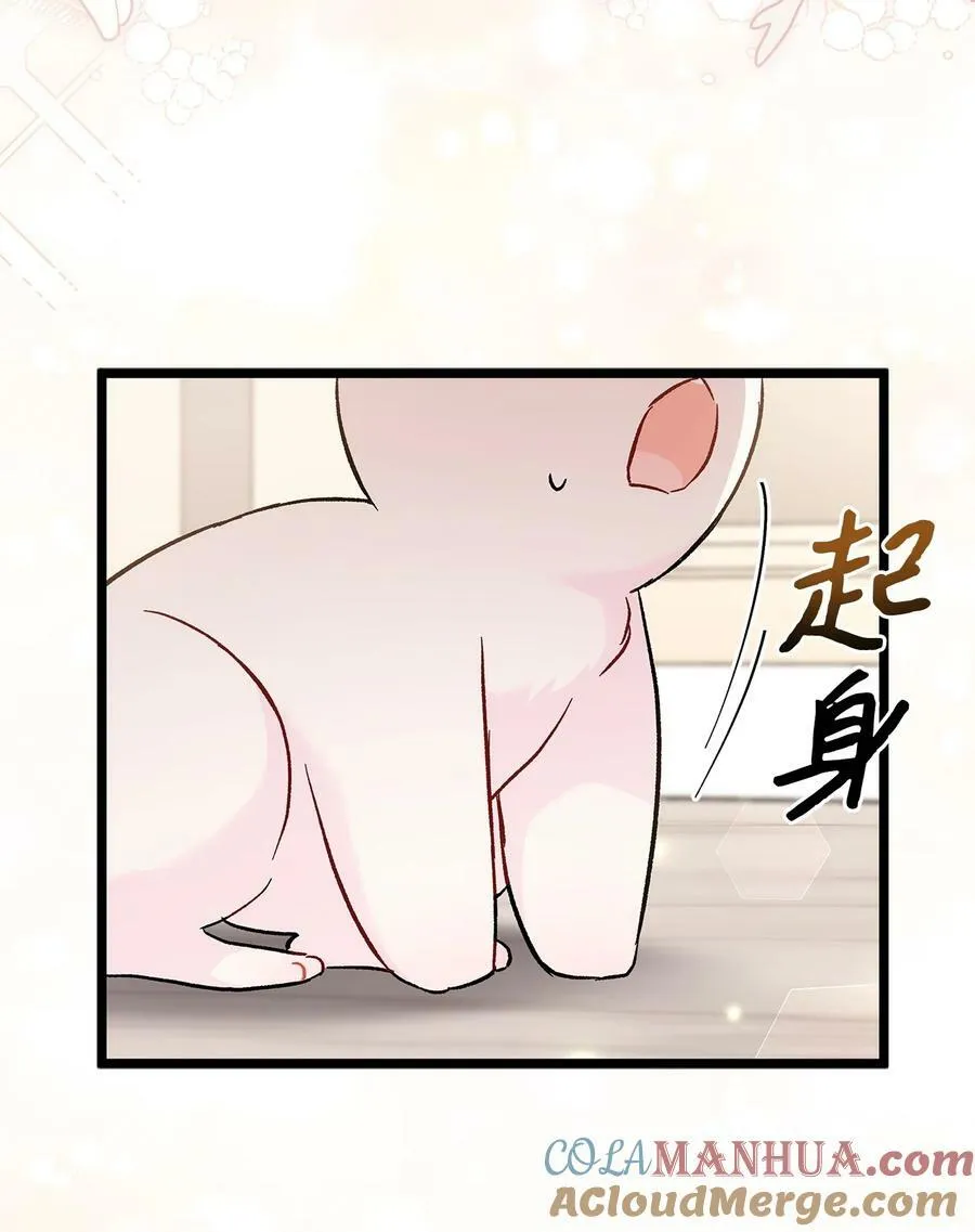 101 兔语言学家 第61页