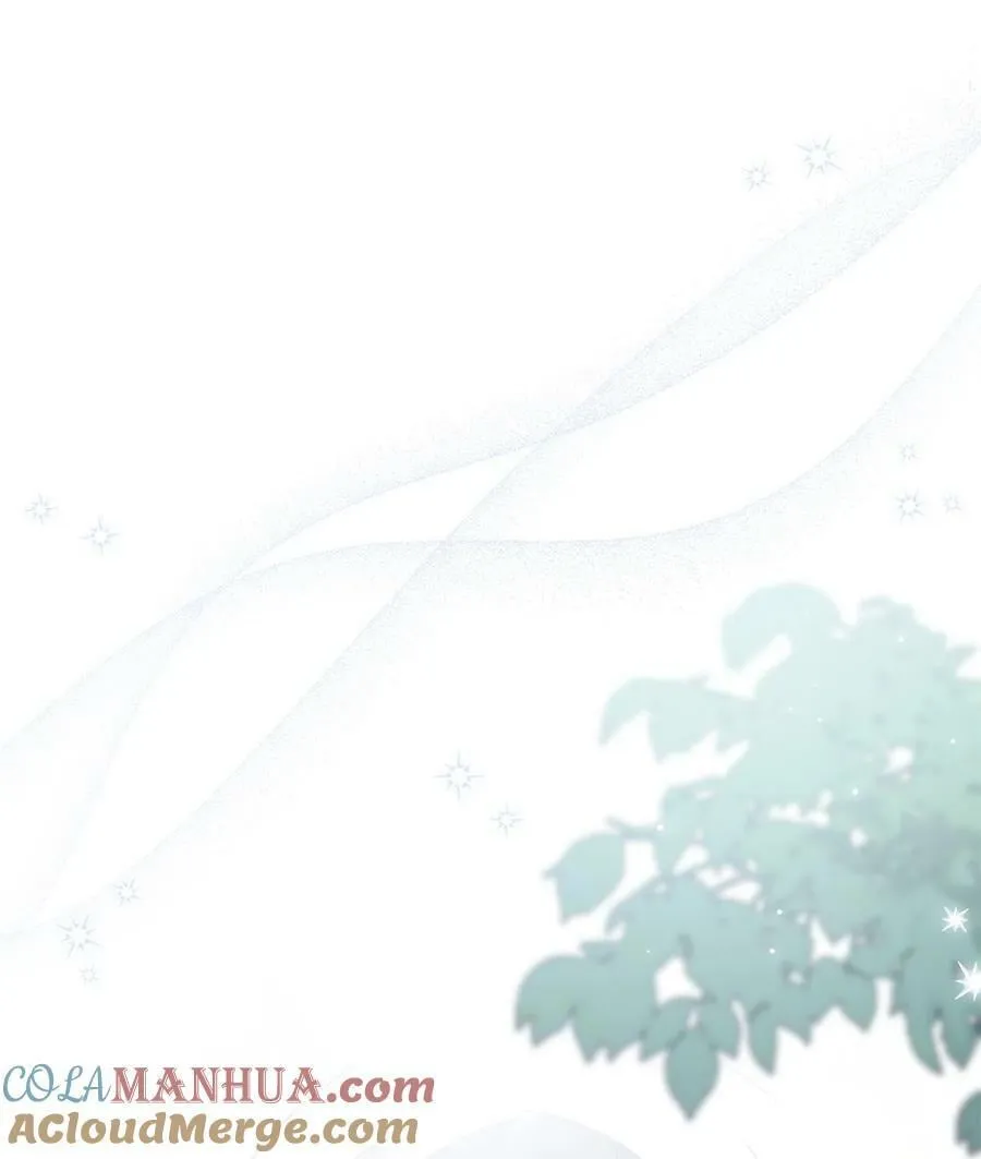 103 生日愿望 第31页