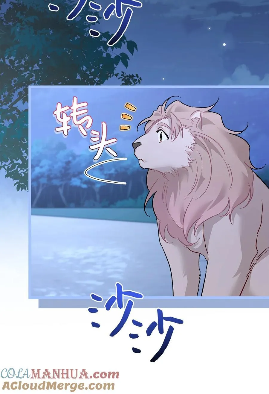 107 狮子的求偶舞 第34页