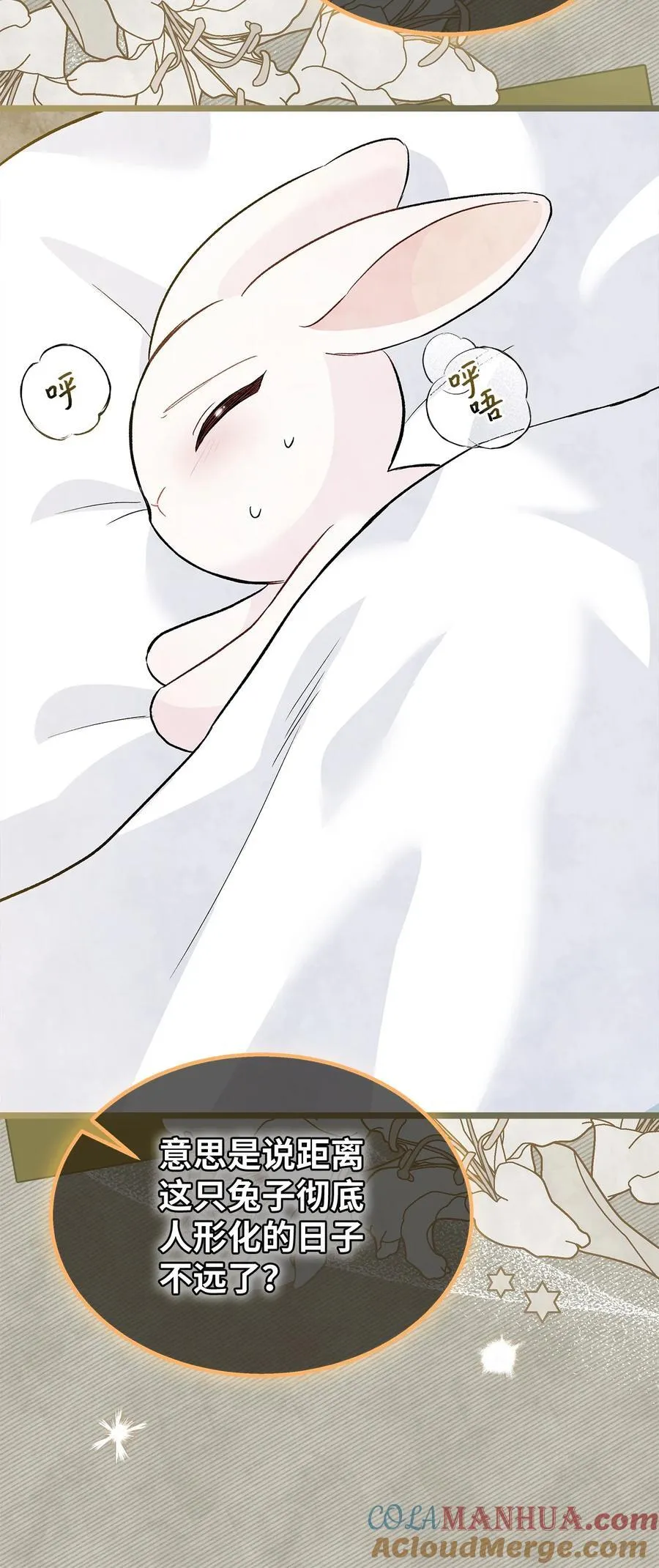 123 大兔兔！ 第7页