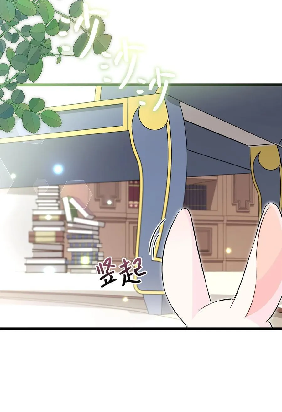 123 大兔兔！ 第62页