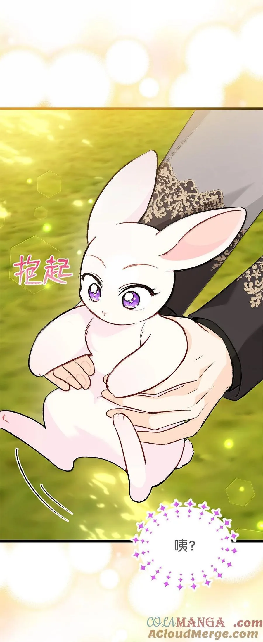 127 兔兔代餐！？ 第76页