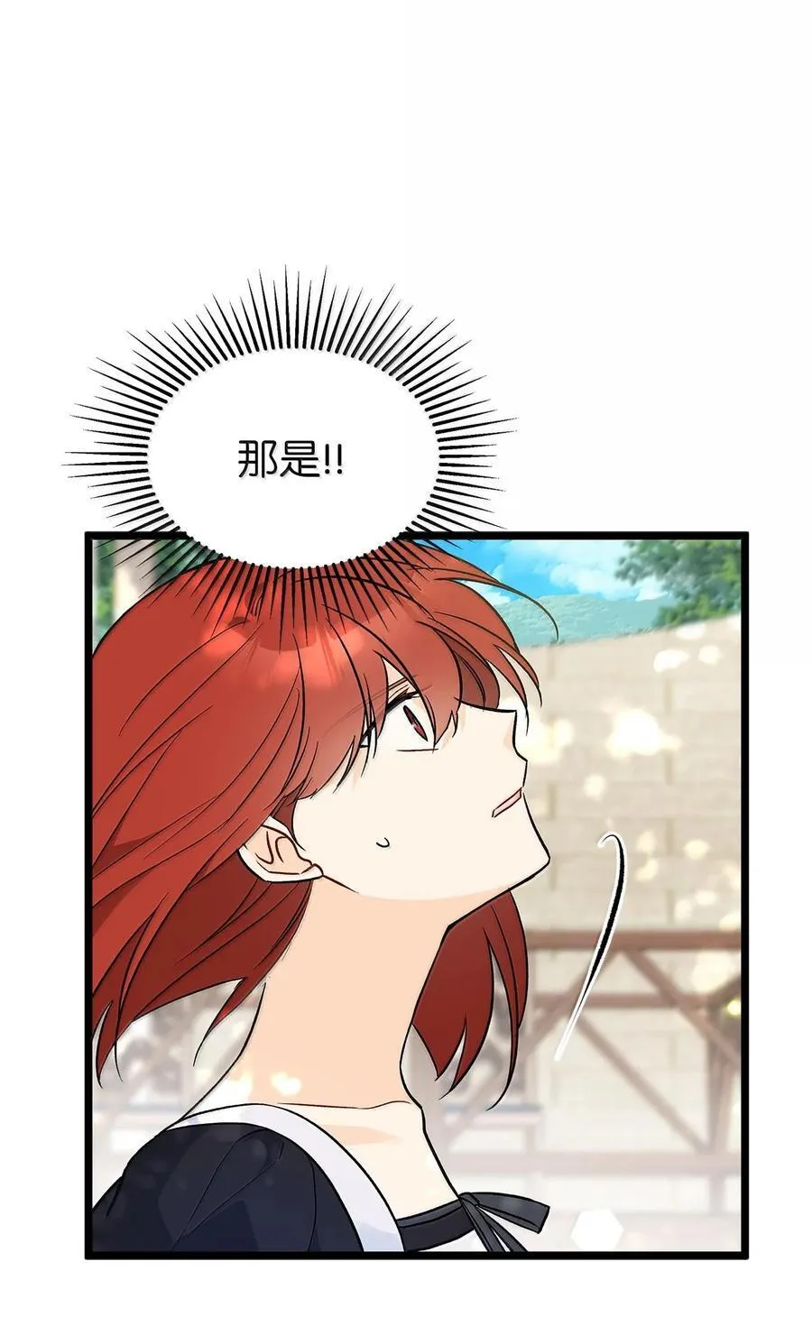 133 空中飞兔 第50页