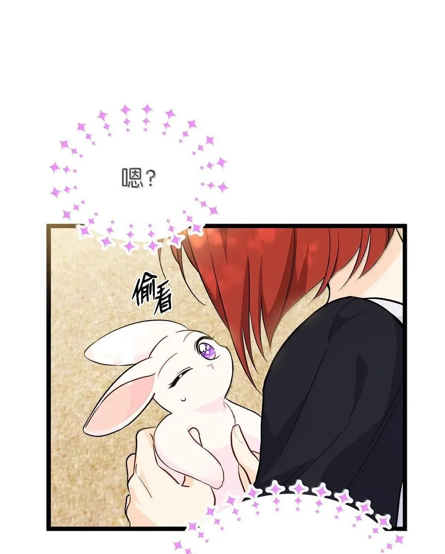 133 空中飞兔 第71页