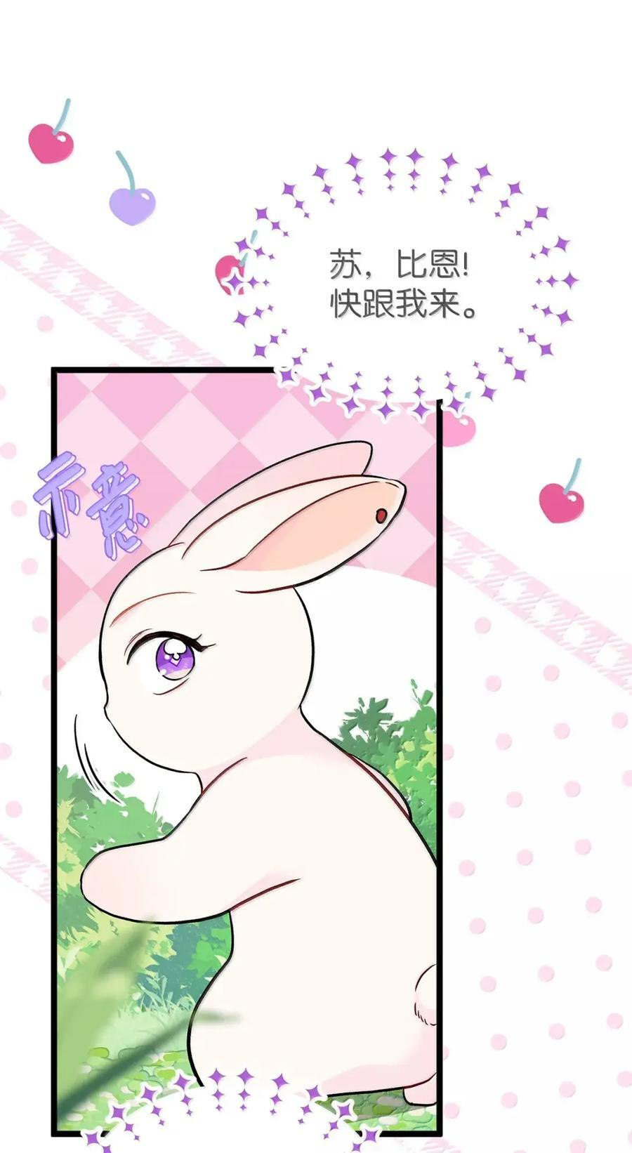 155 兔兔打架 第30页