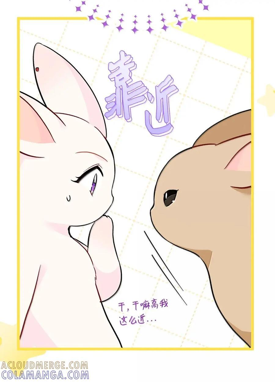 155 兔兔打架 第40页