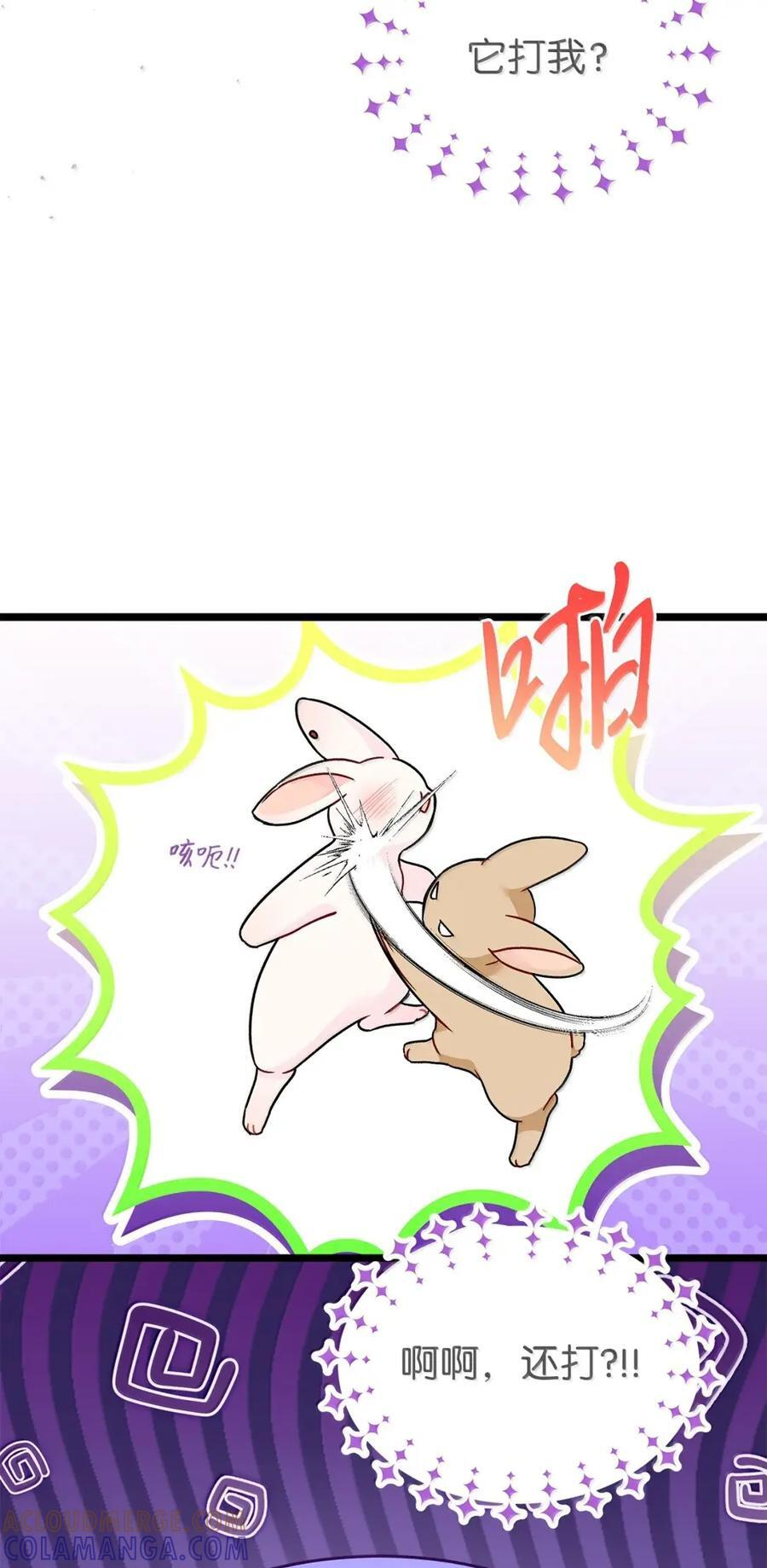 155 兔兔打架 第43页