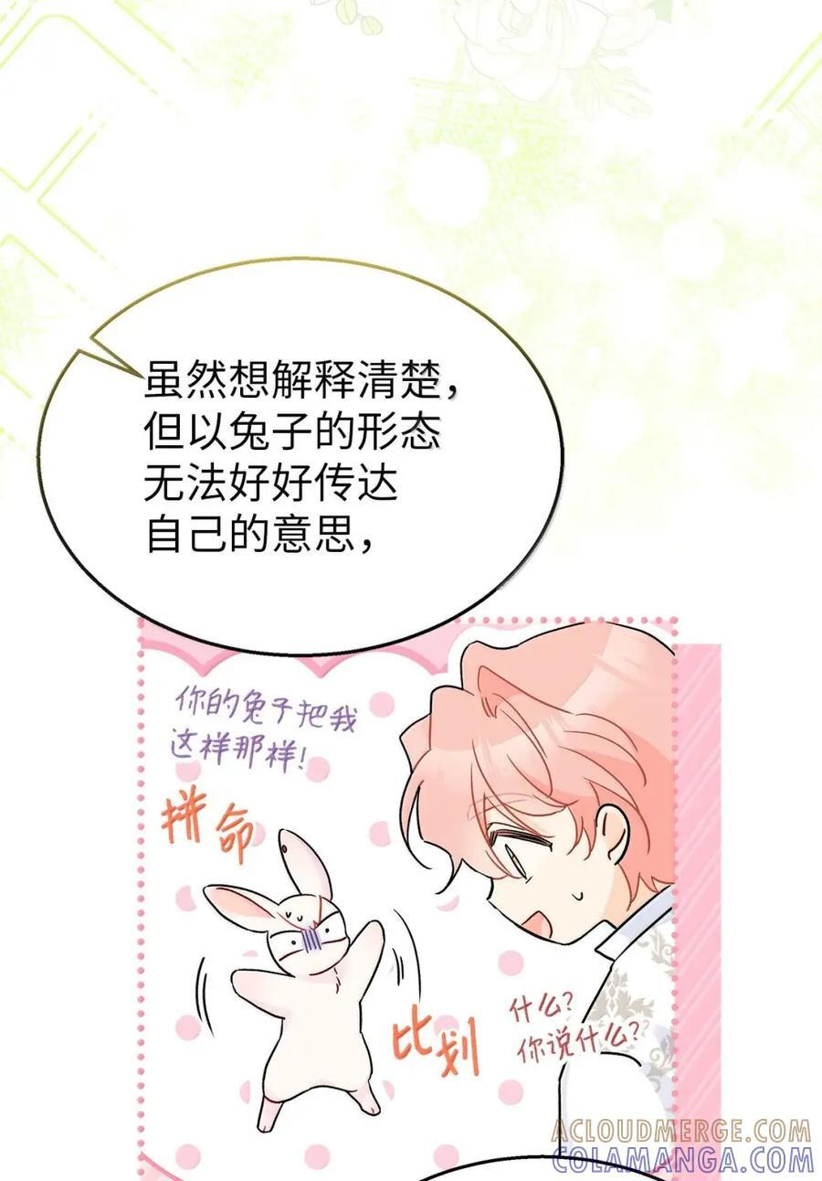 155 兔兔打架 第61页