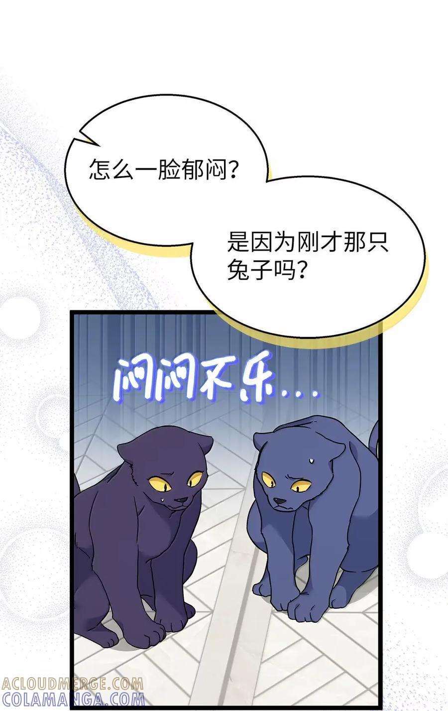 155 兔兔打架 第64页