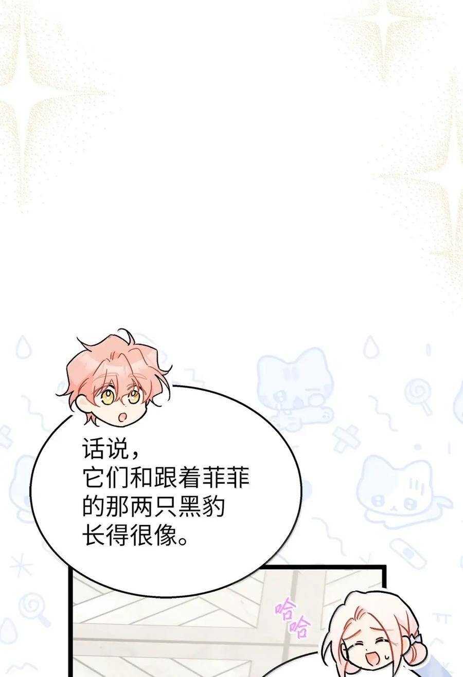 155 兔兔打架 第71页