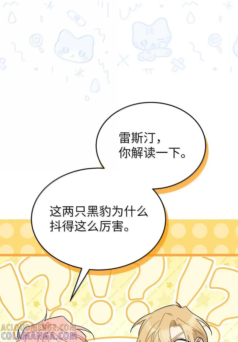 155 兔兔打架 第73页