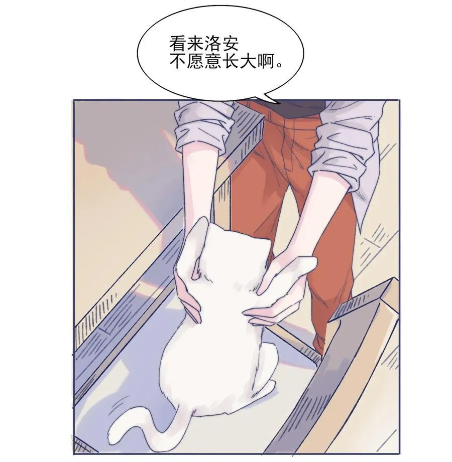 001 感谢你的收留 第42页