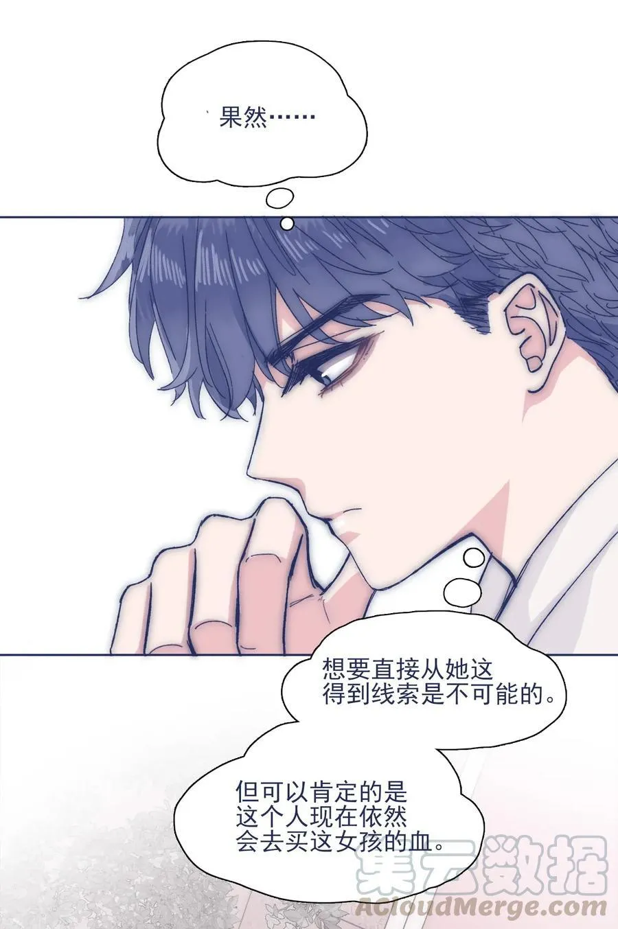 029 接近真相了吗？ 第13页