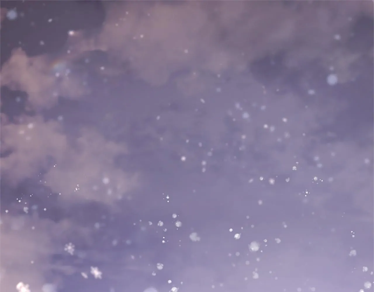 第14话 生日庆典 第5页