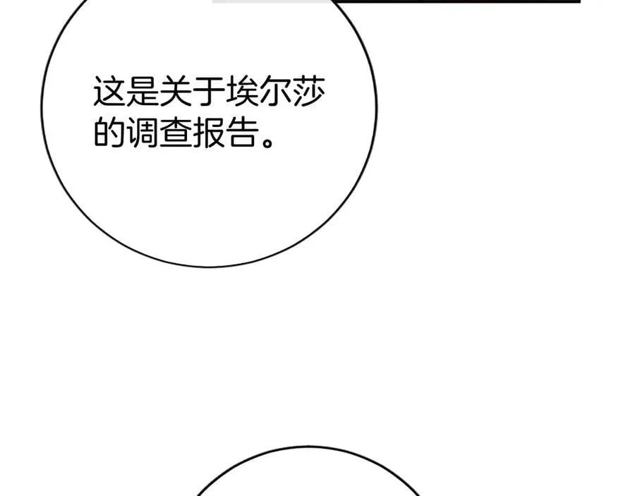 第41话 背景调查 第163页