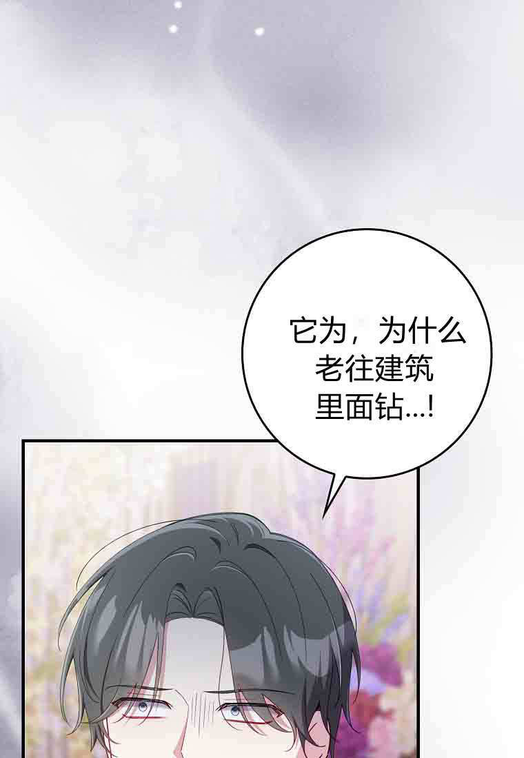 第49话 第20页