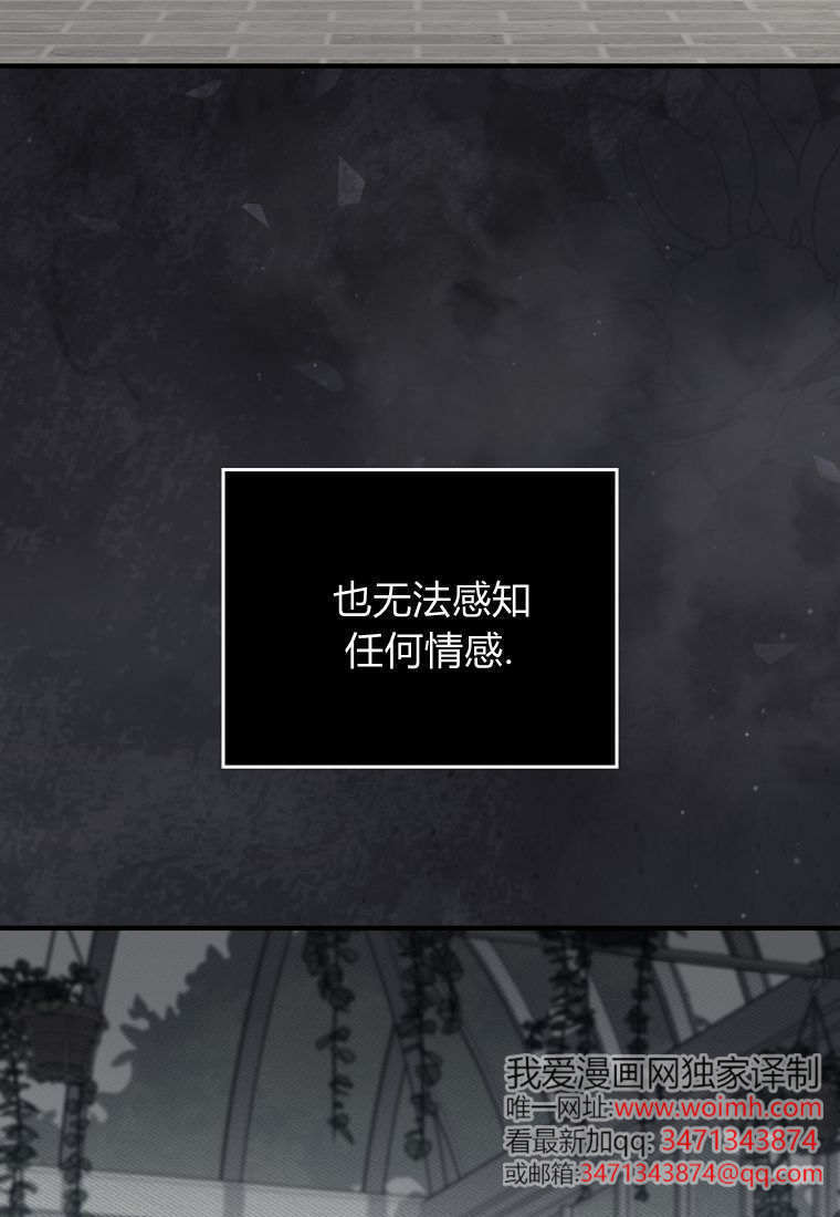 第53话 第41页