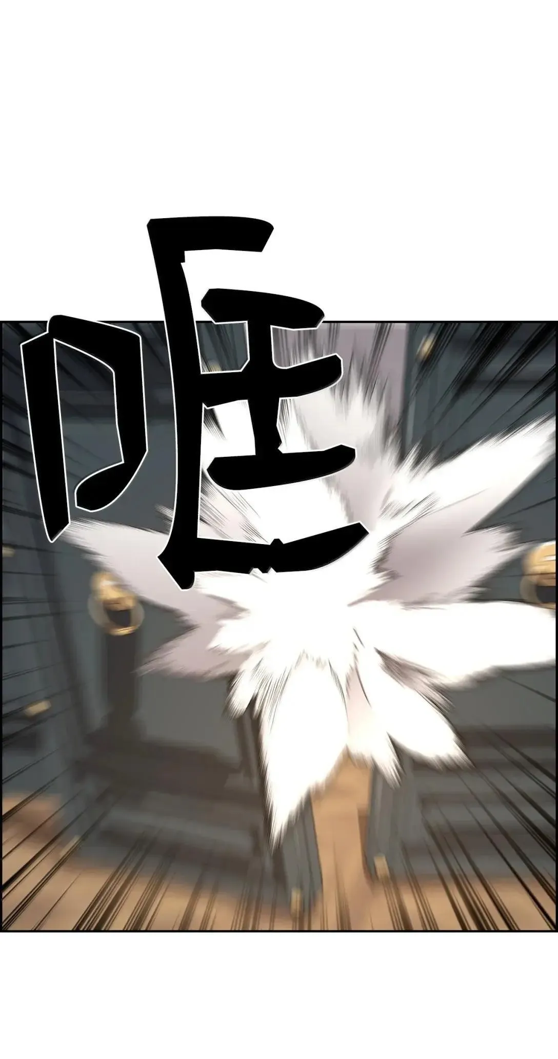40 胡杉 第8页