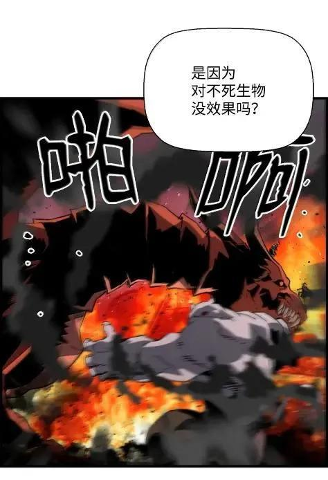 78 大战 第75页