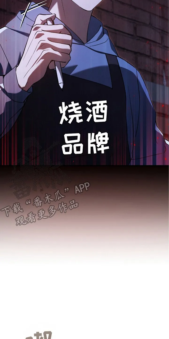第13章：监视 第17页