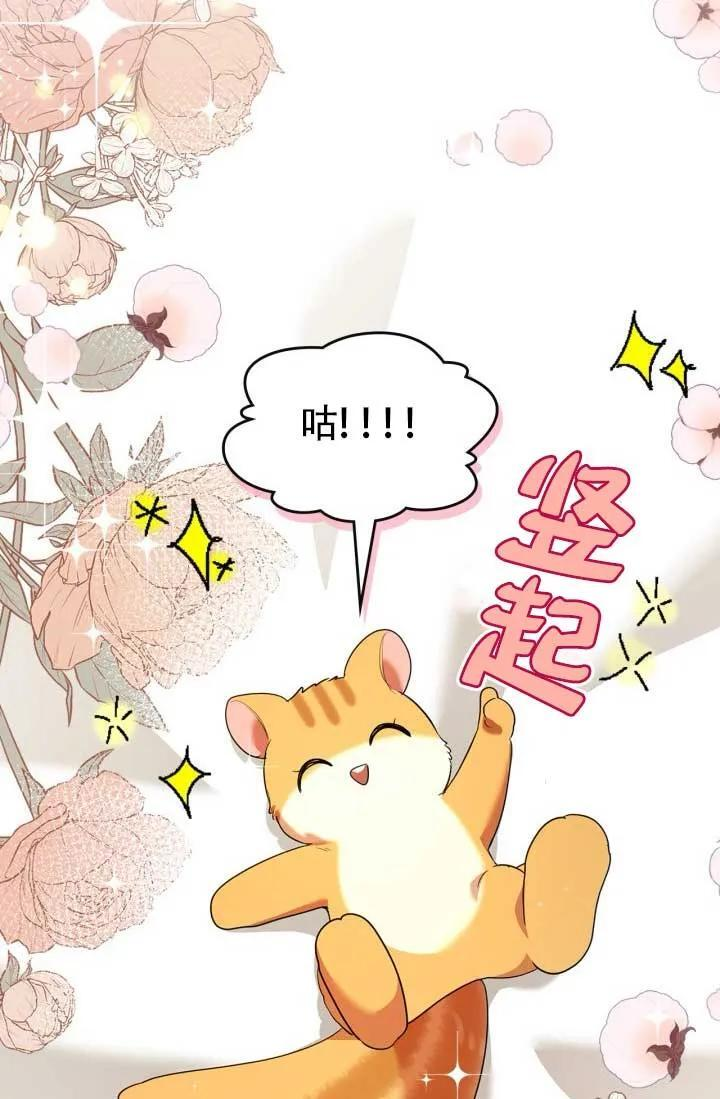 第35话 第41页