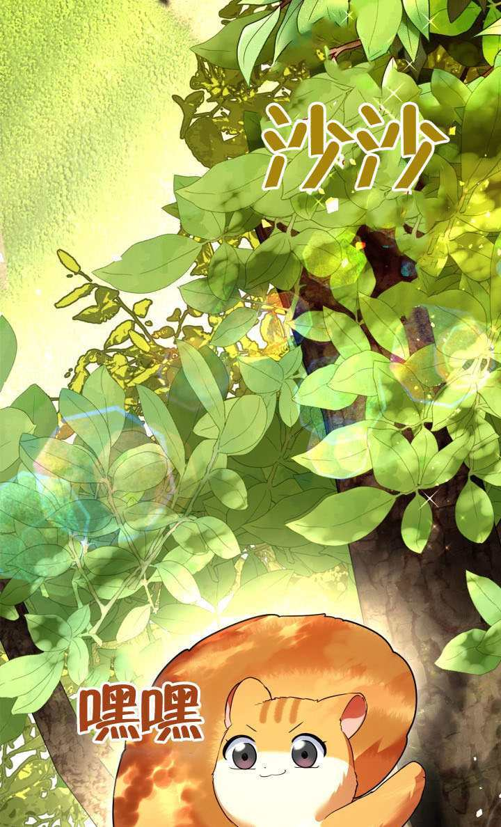 第41话 第5页