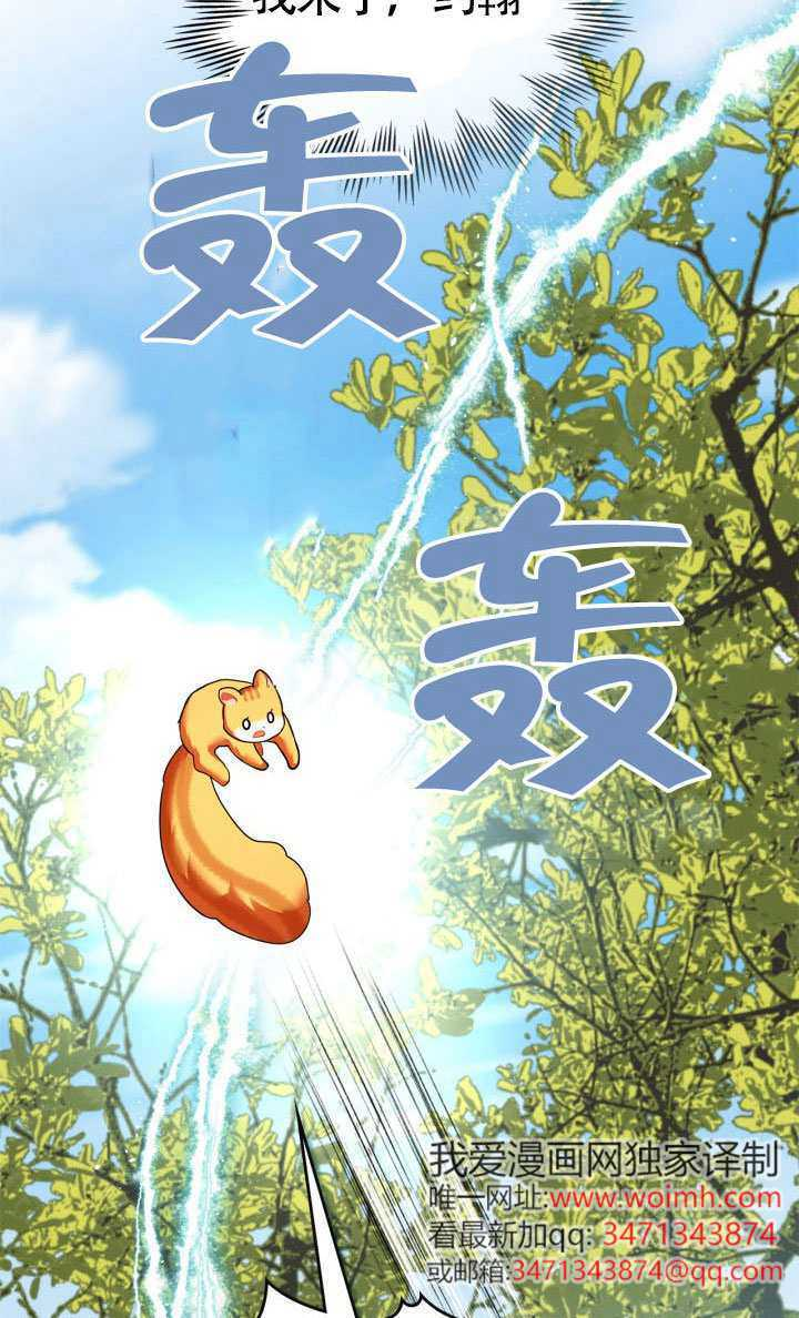 第41话 第43页