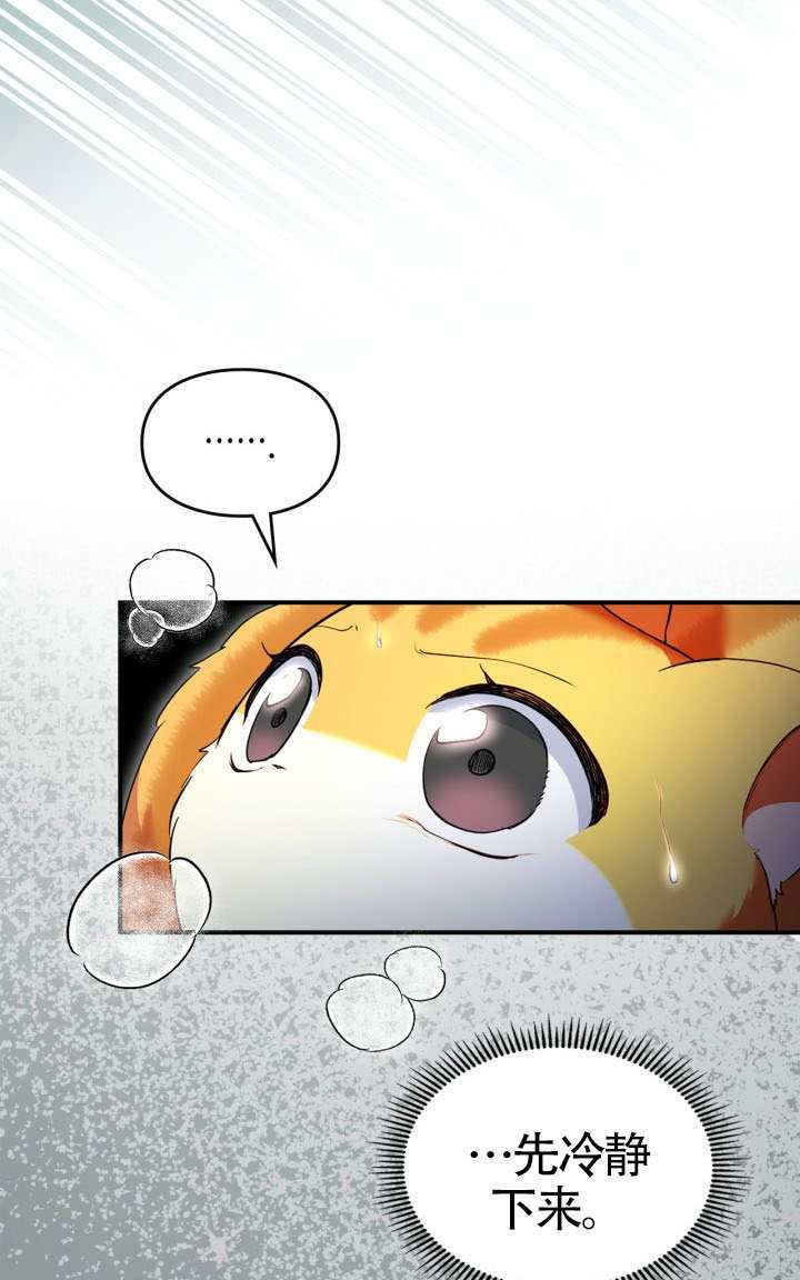 第41话 第57页
