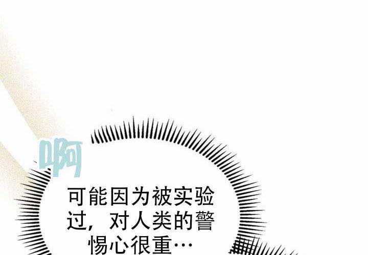 第48话 第60页
