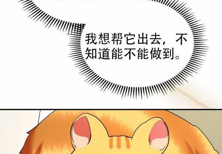 第48话 第61页