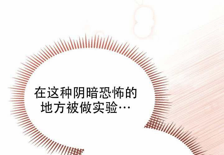 第48话 第138页