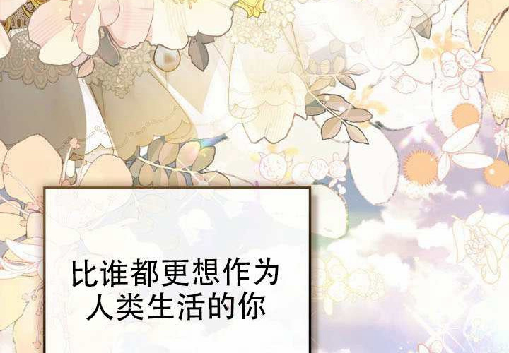 第50话 第146页