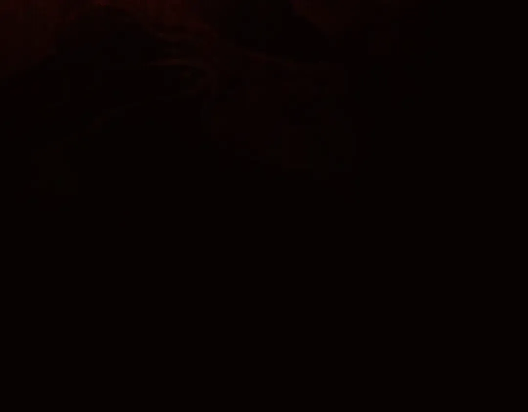 第10话 大展神威 第214页