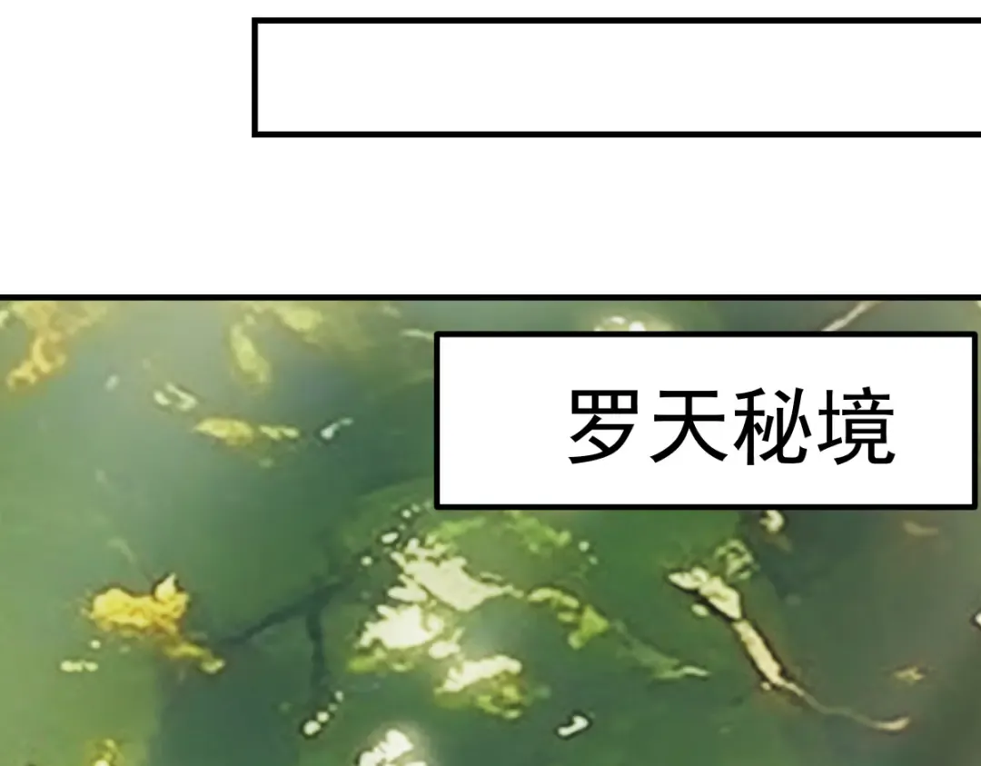 第16话 罗天秘境 第71页