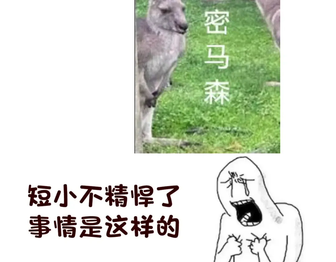 不是公告但是活动OVO 第2页