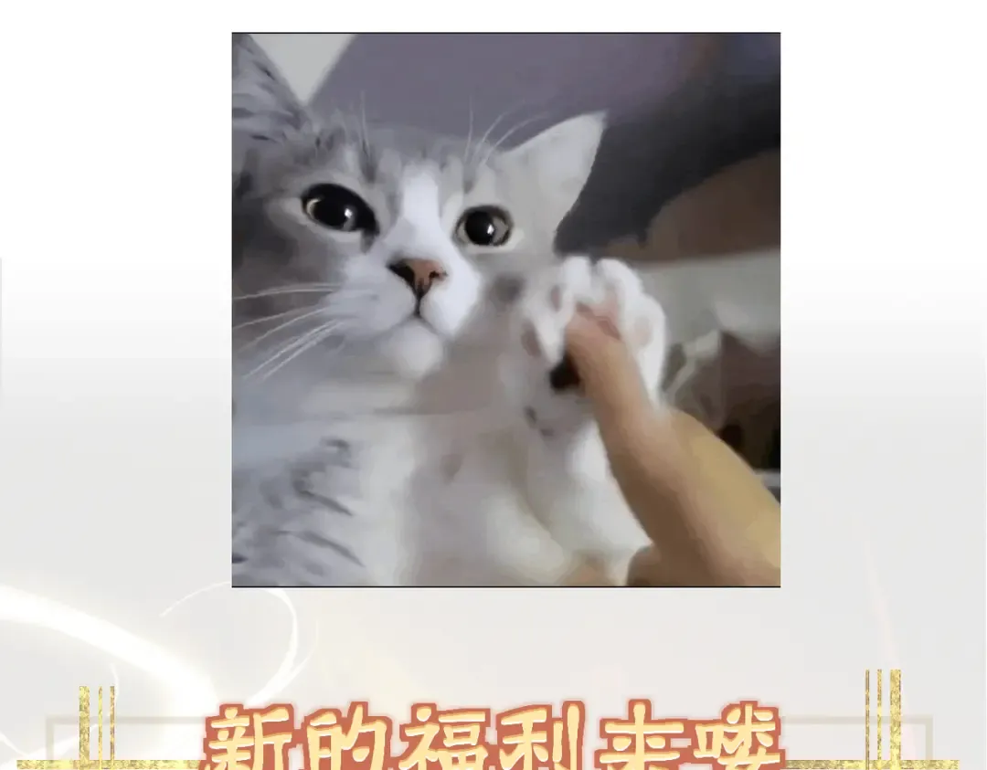第31话 只手碎日 第252页