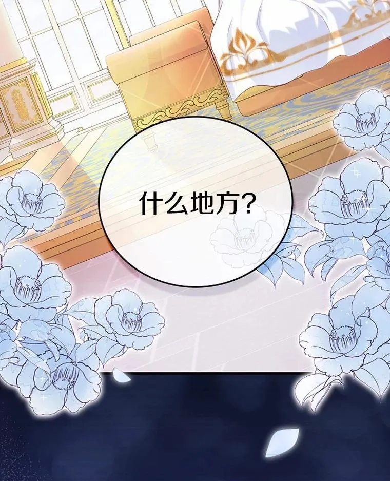 1.崭新人生 第5页