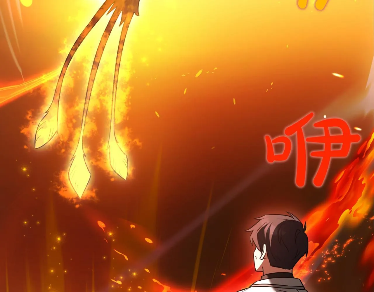 第13话 不死鸟的庇护 第211页
