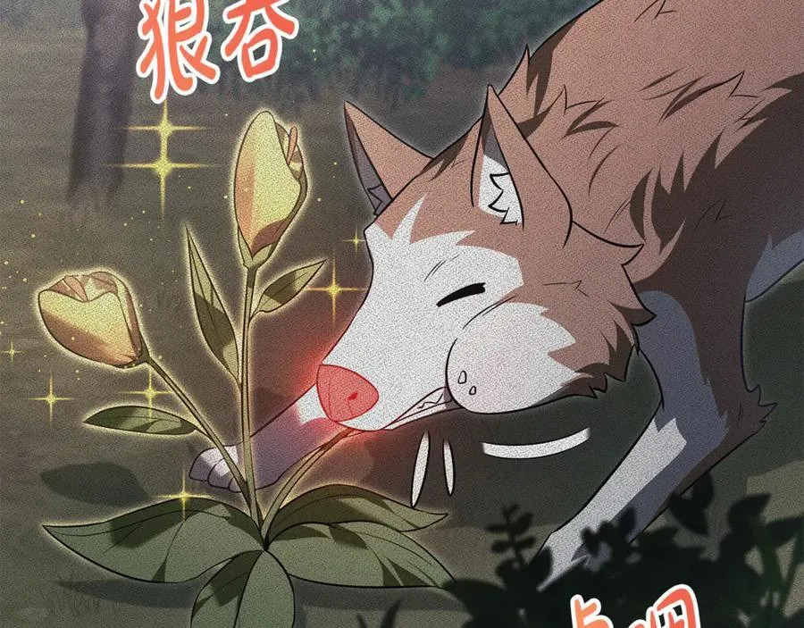 第42话 又得一位助力 第54页