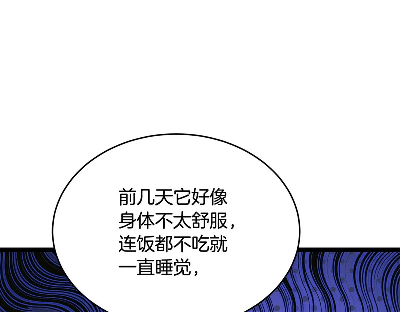 第61话 该做个了断了 第147页