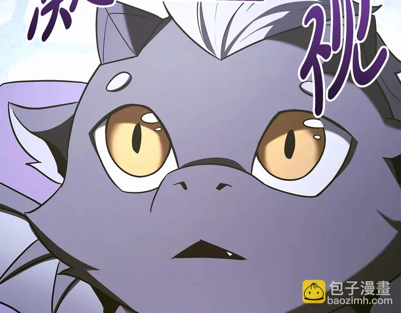 第67话 稀有的幻兽 第147页